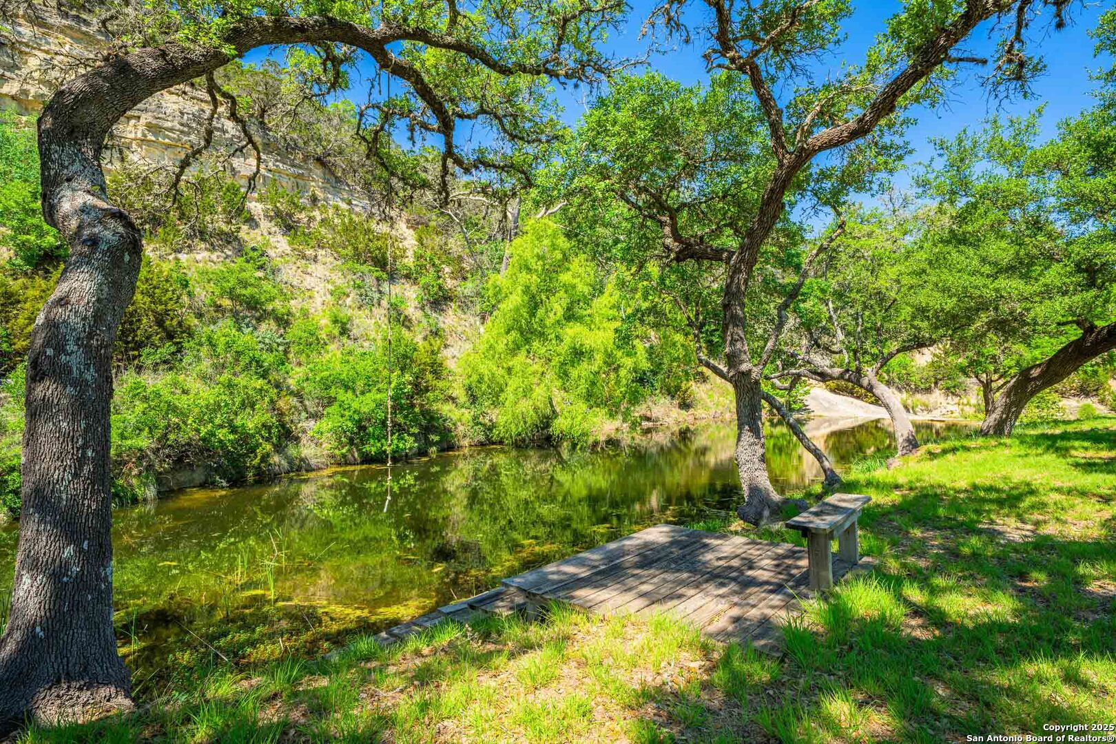 165 Flach Road Comfort, TX 78013 - Photo 56 of 69 a backyard of a house with lots of trees