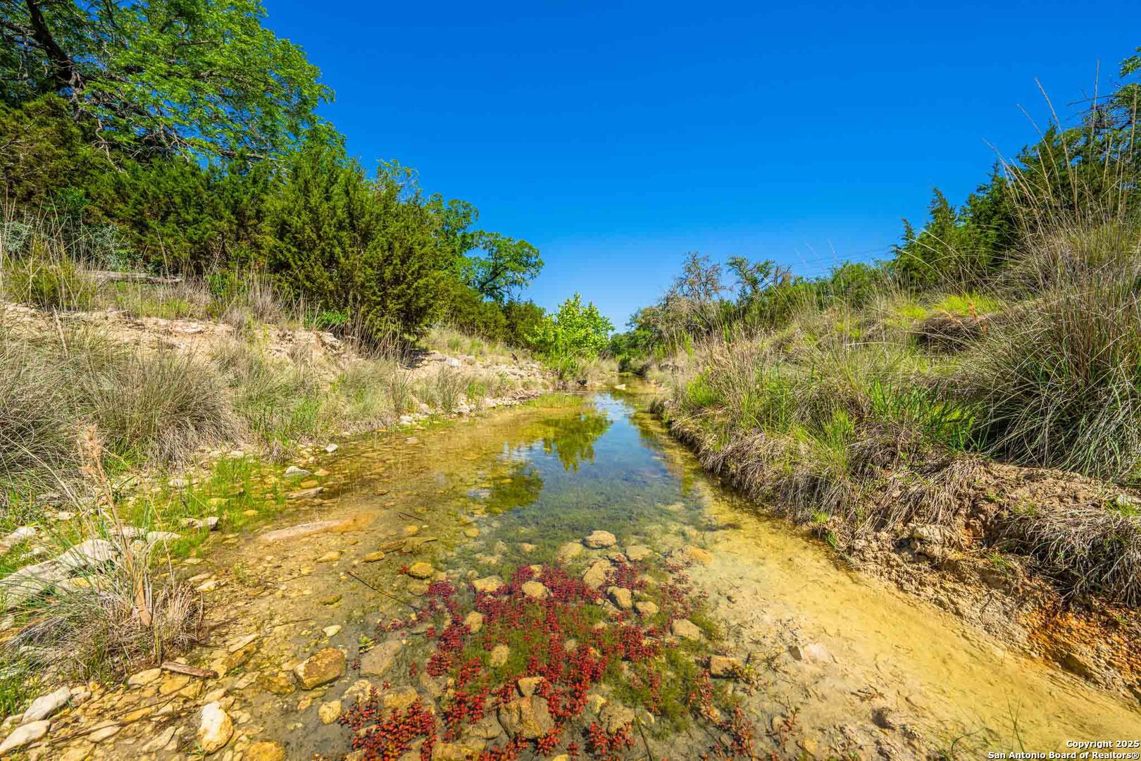 165 Flach Road Comfort, TX 78013 - Photo 62 of 69 a view of a lake
