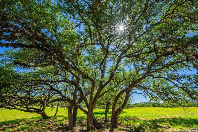 $6,250,000 | 165 Flach Road, Comfort, TX 78013