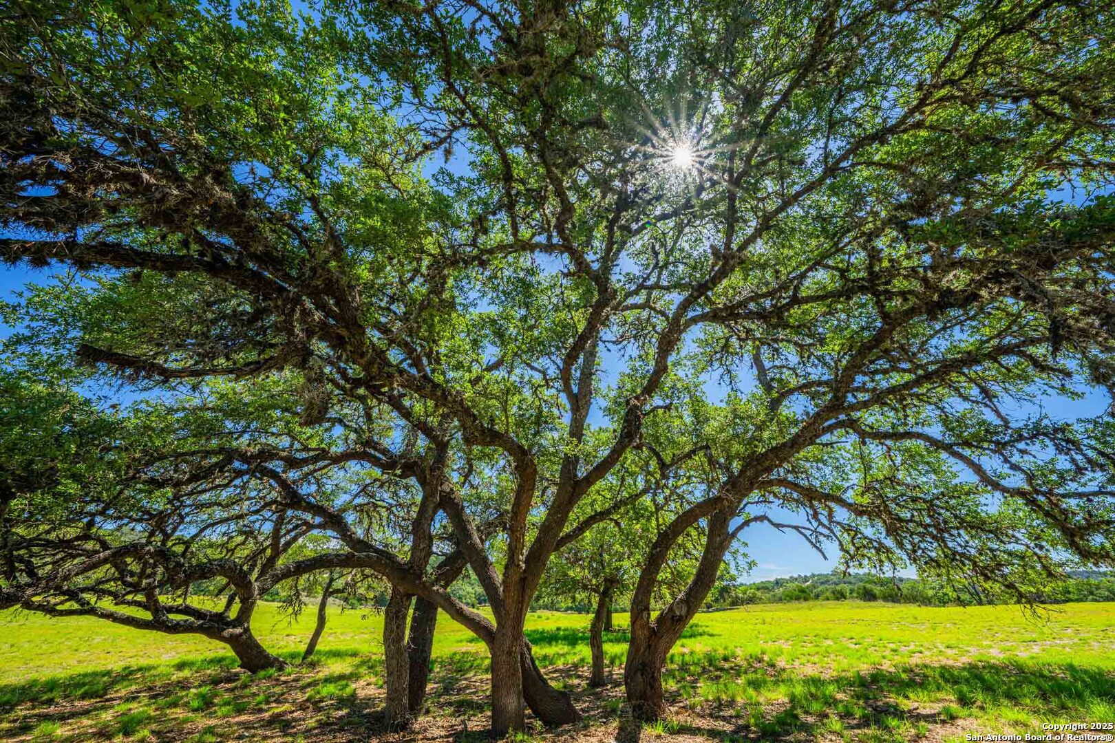 165 Flach Road Comfort, TX 78013 - Photo 64 of 69