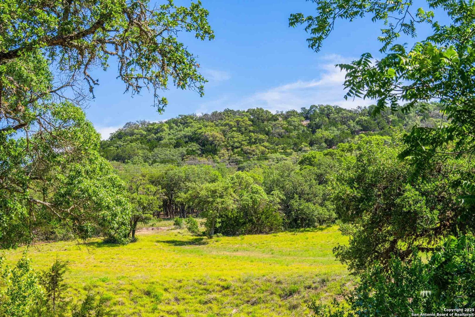 165 Flach Road Comfort, TX 78013 - Photo 65 of 69 a view of a yard with an outdoor space