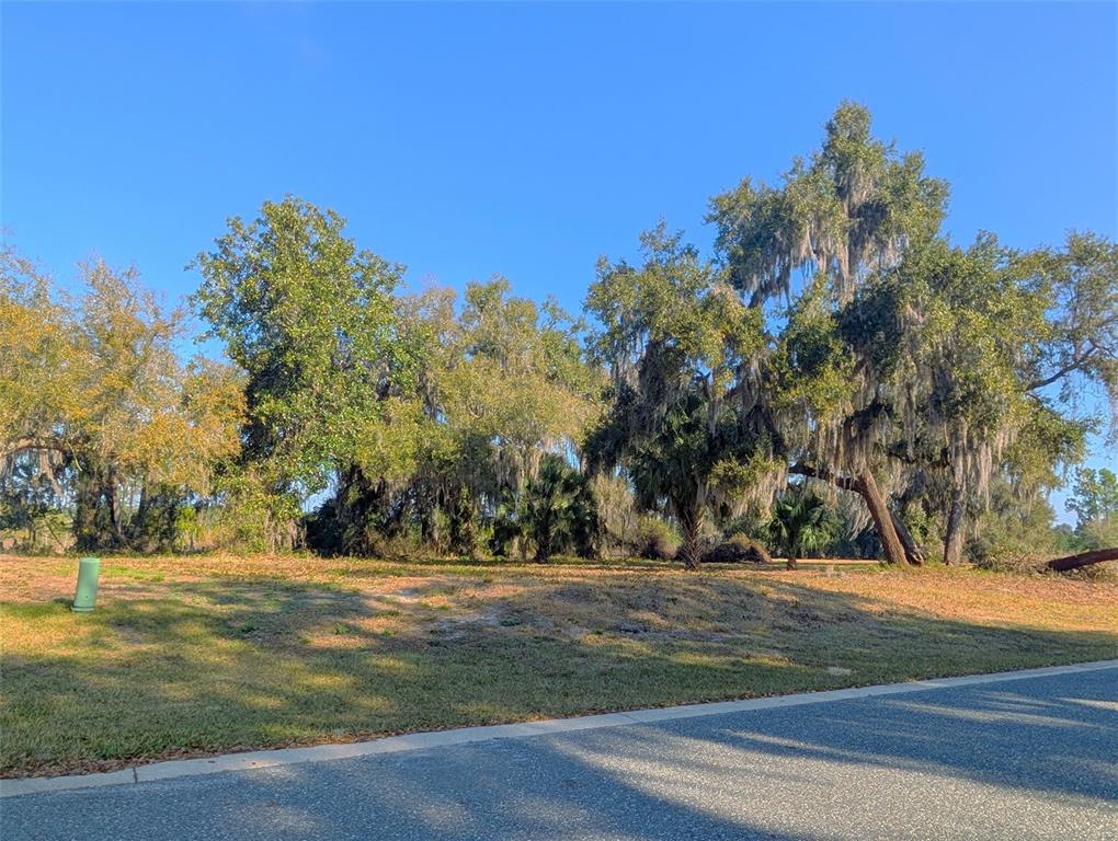 446 Long And Winding Road Howey-in-the-Hills, FL 34737 - Photo 1 of 32 a view of yard with green space