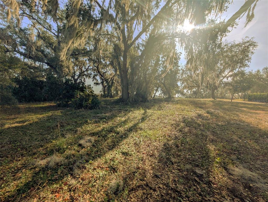446 Long And Winding Road Howey-in-the-Hills, FL 34737 - Photo 29 of 32 a view of outdoor space with deck and yard