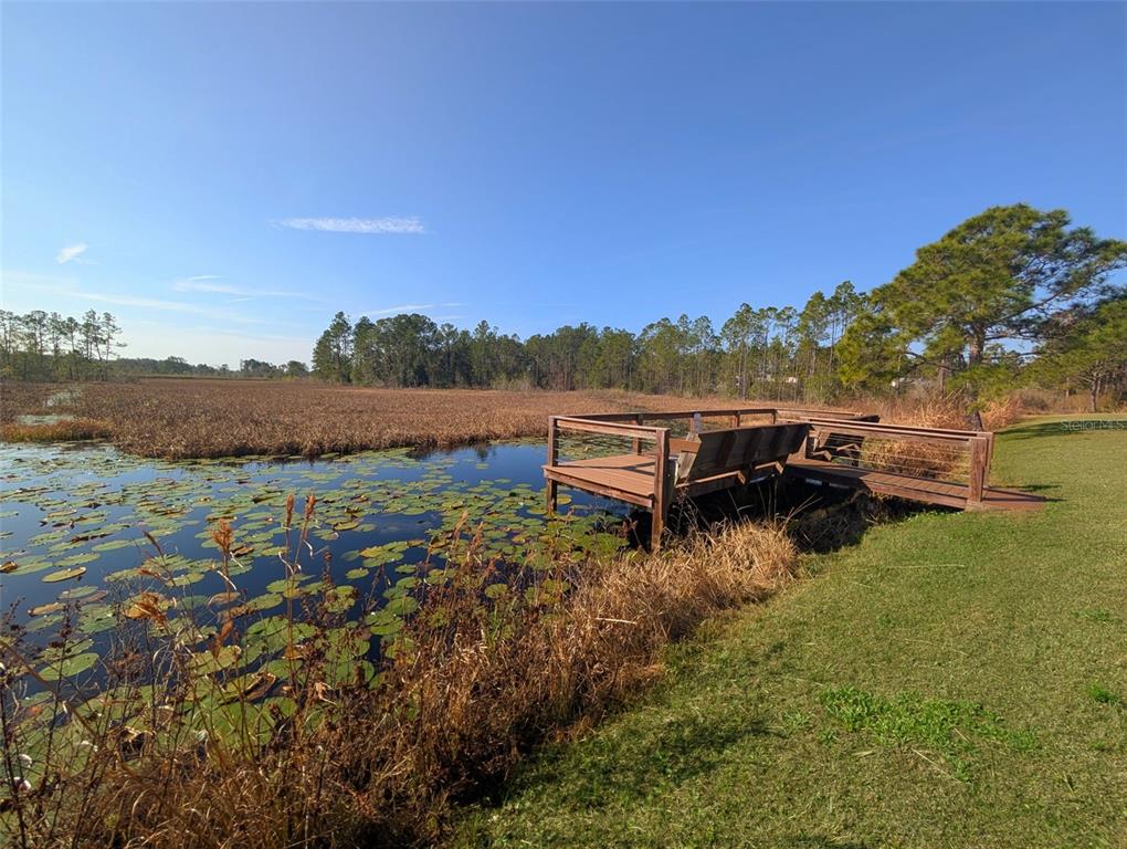 446 Long And Winding Road Howey-in-the-Hills, FL 34737 - Photo 31 of 32 a view of a lake with a mountain in the background
