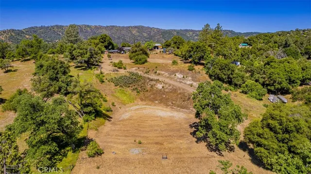 a view of a field with a tree