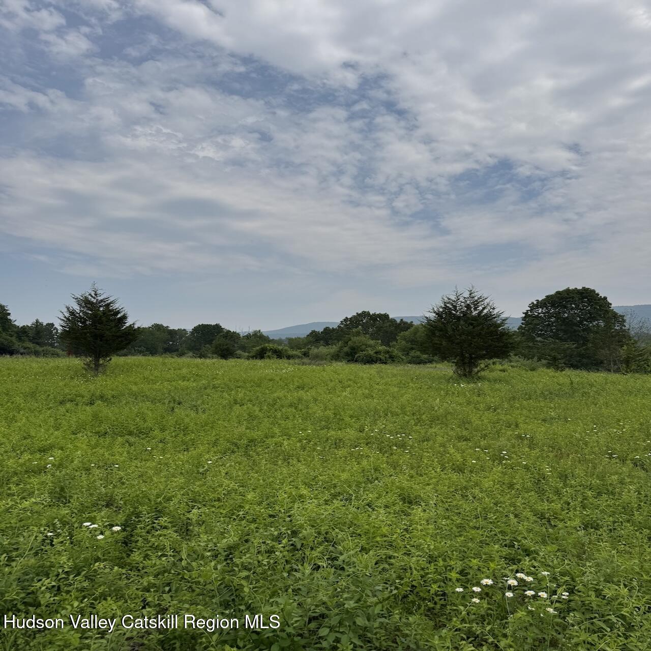 0 White Barn Road Copake, NY 12516 - Photo 9 of 10 00-white-barn-road-copake-ny-columbia-eh