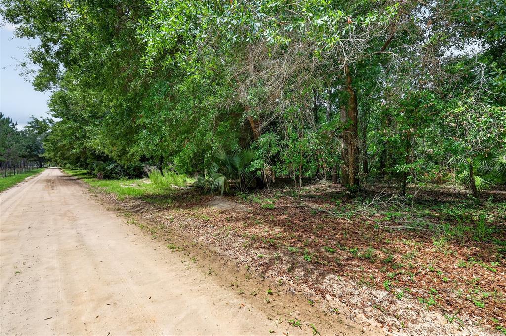 Kilker Road Paisley, FL 32767 - Photo 4 of 15