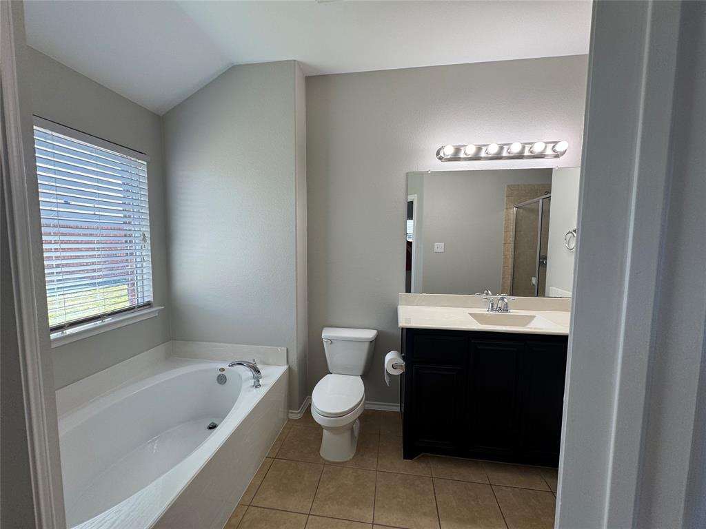 117 Chalk Road Anna, TX 75409 - Photo 14 of 32 a bathroom with a toilet sink and mirror