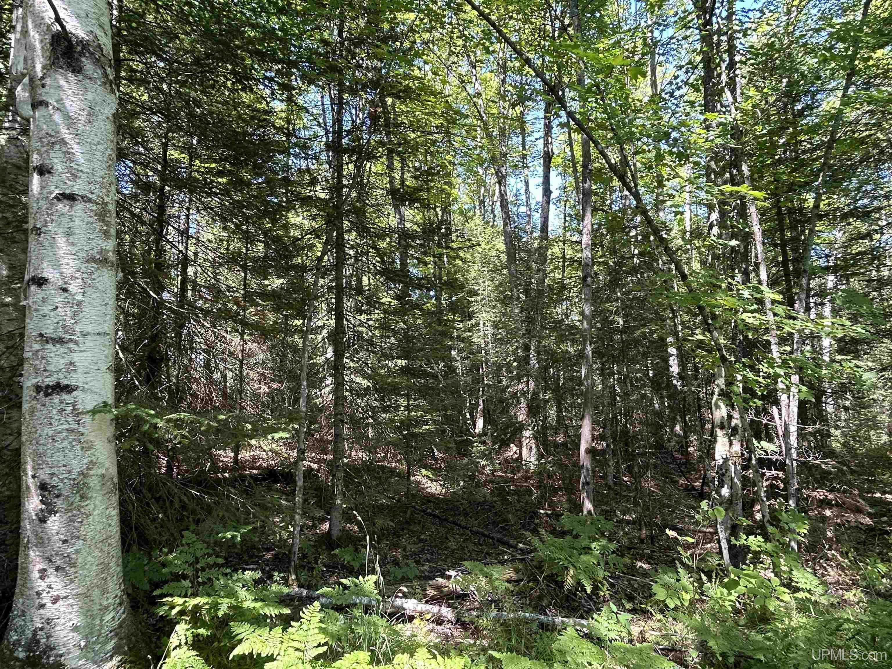 2650 East Co Road Little Lake, MI 49833 - Photo 26 of 40