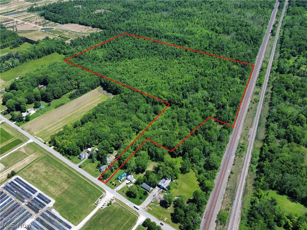 0 Dayton Road Madison, OH 44057 - Photo 3 of 14 Expansive wooded acreage featuring significant tree coverage