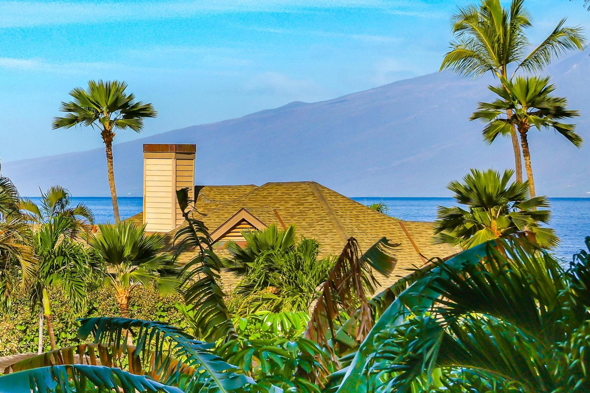 a blue white house with a yard and swimming pool