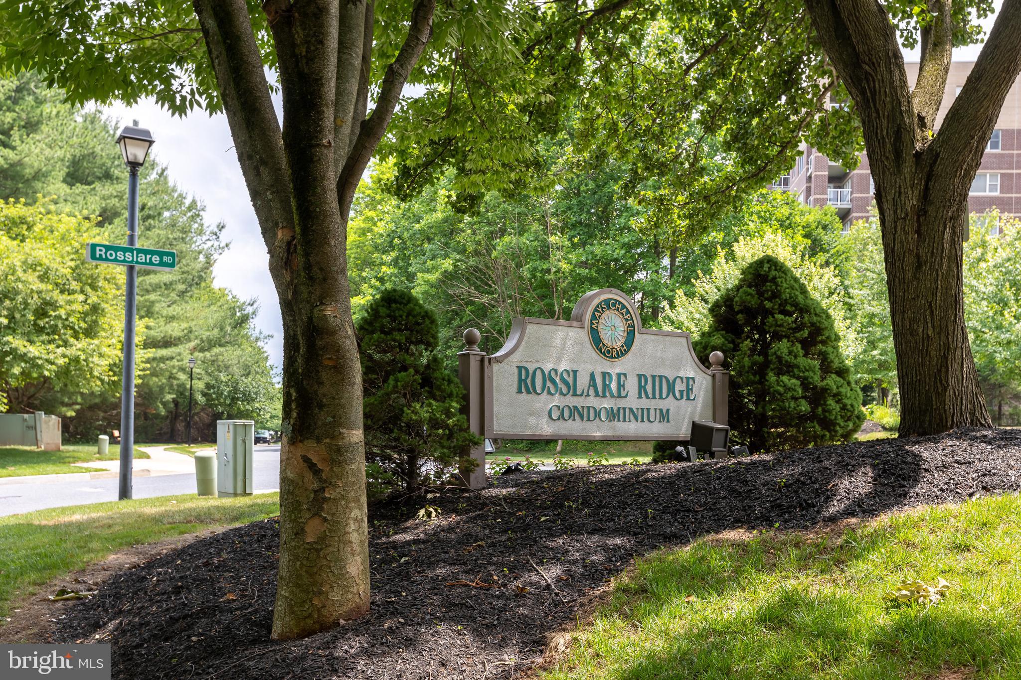 12300 Rosslare Ridge Road, Unit 501 Lutherville-Timonium, MD 21093 - Photo 2 of 40