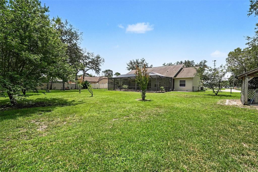 6913 Colley Road Odessa, FL 33556 - Photo 42 of 46