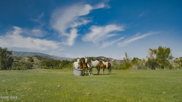 $8,495,000 | 101 Ping Lane, Eagle, CO 81631