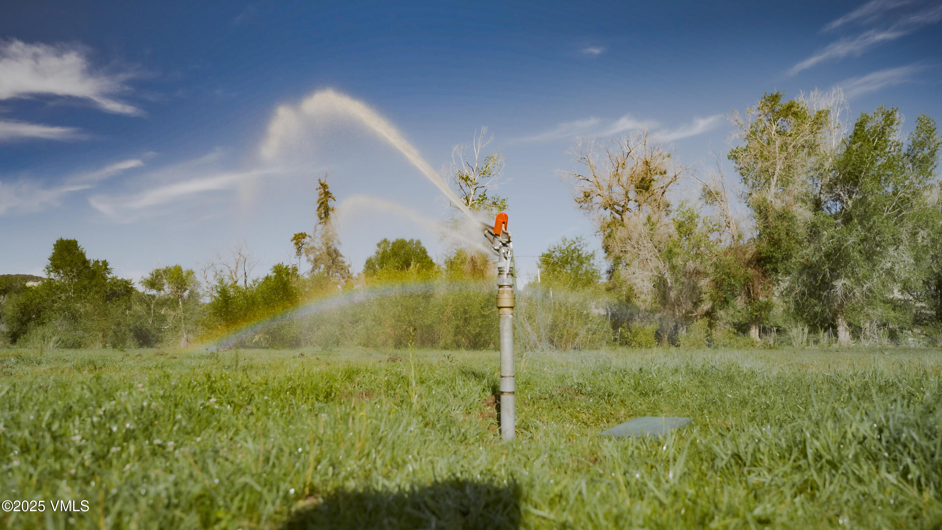 101 Ping Lane Eagle, CO 81631 - Photo 8 of 15 Sequence 01.00_07_04_00.Still003