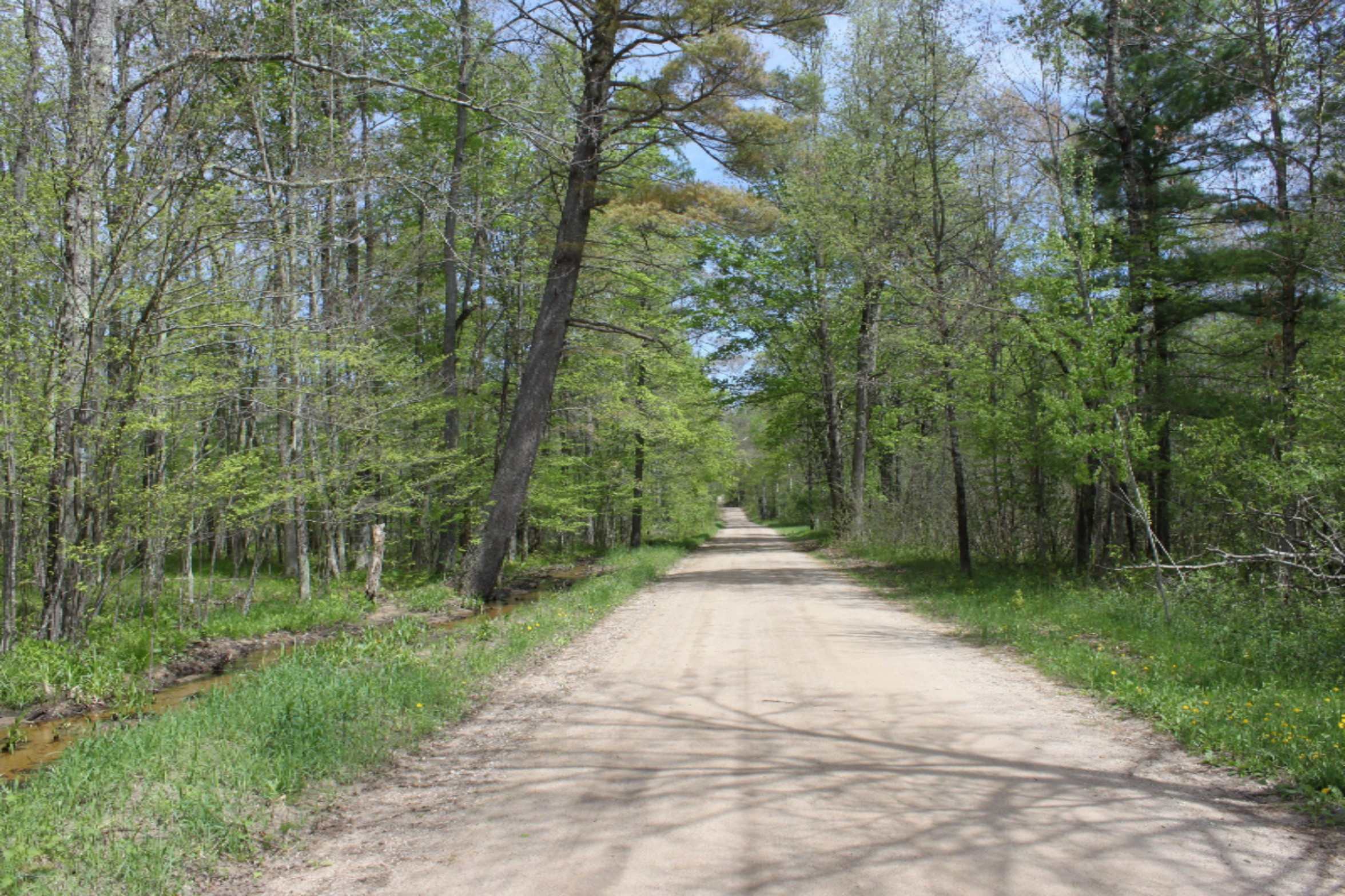 5596 North James Road Irons, MI 49644 - Photo 15 of 16 IMG_7621