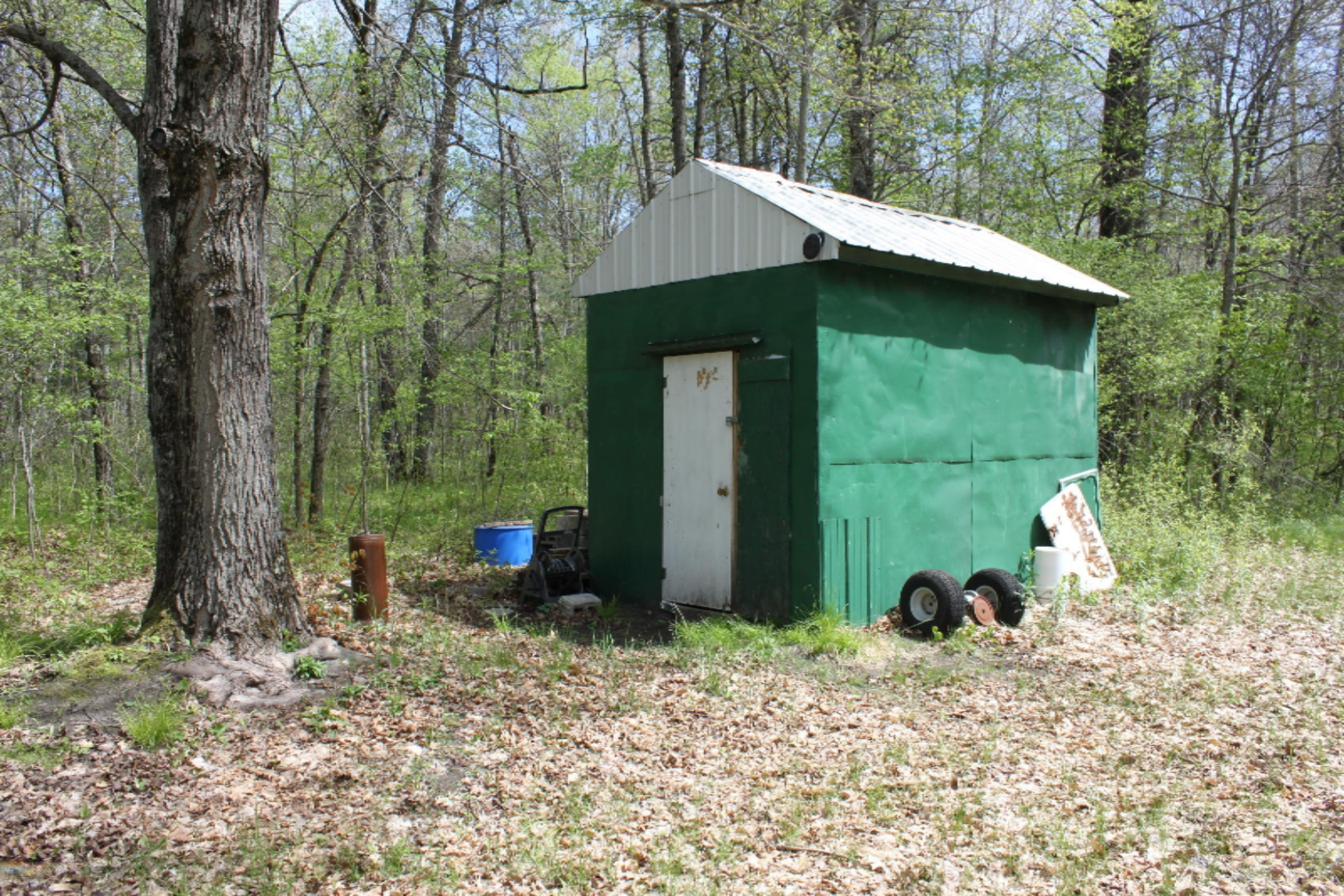 5596 North James Road Irons, MI 49644 - Photo 2 of 16 IMG_7608