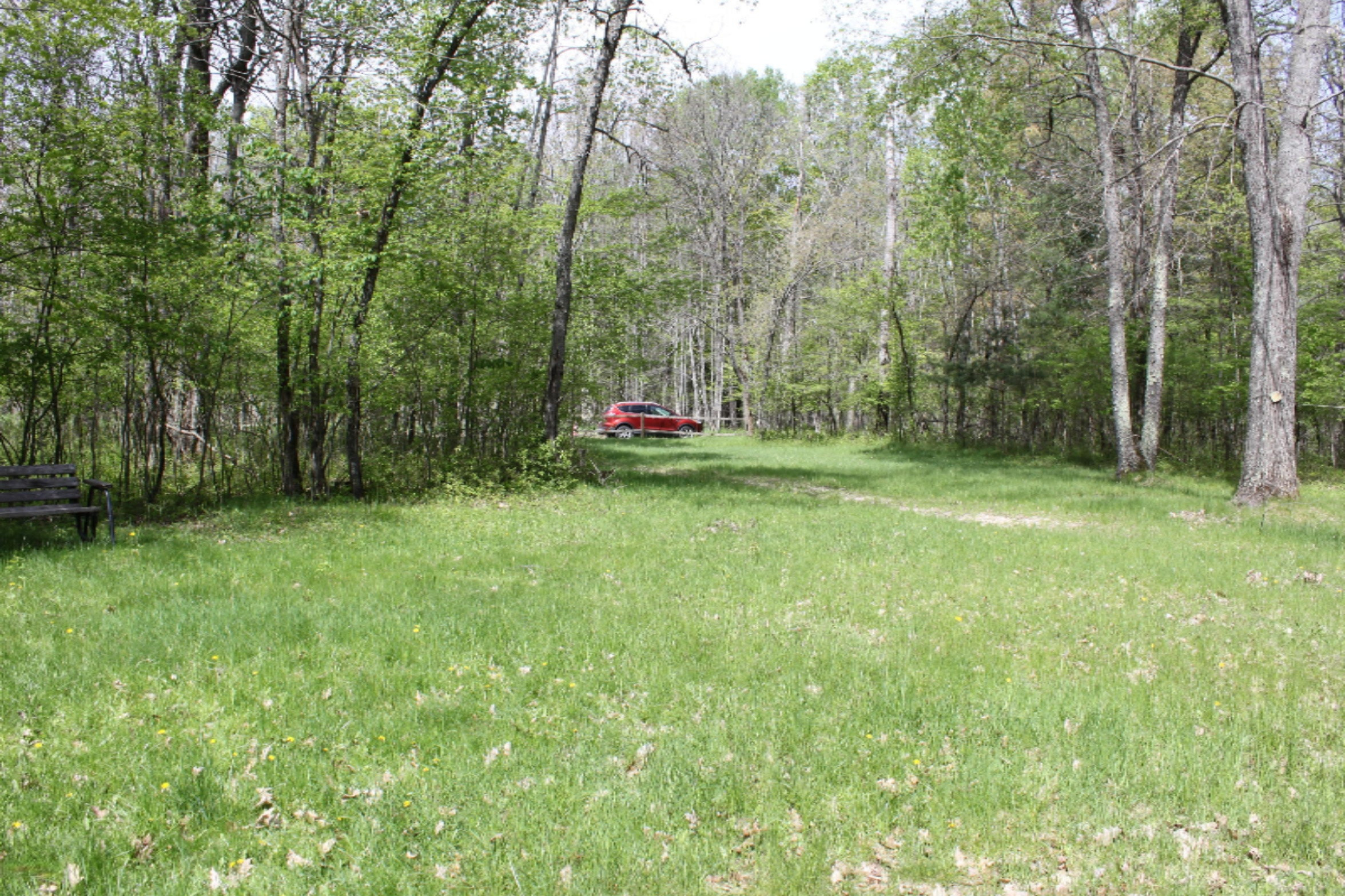 5596 North James Road Irons, MI 49644 - Photo 10 of 16 IMG_7616