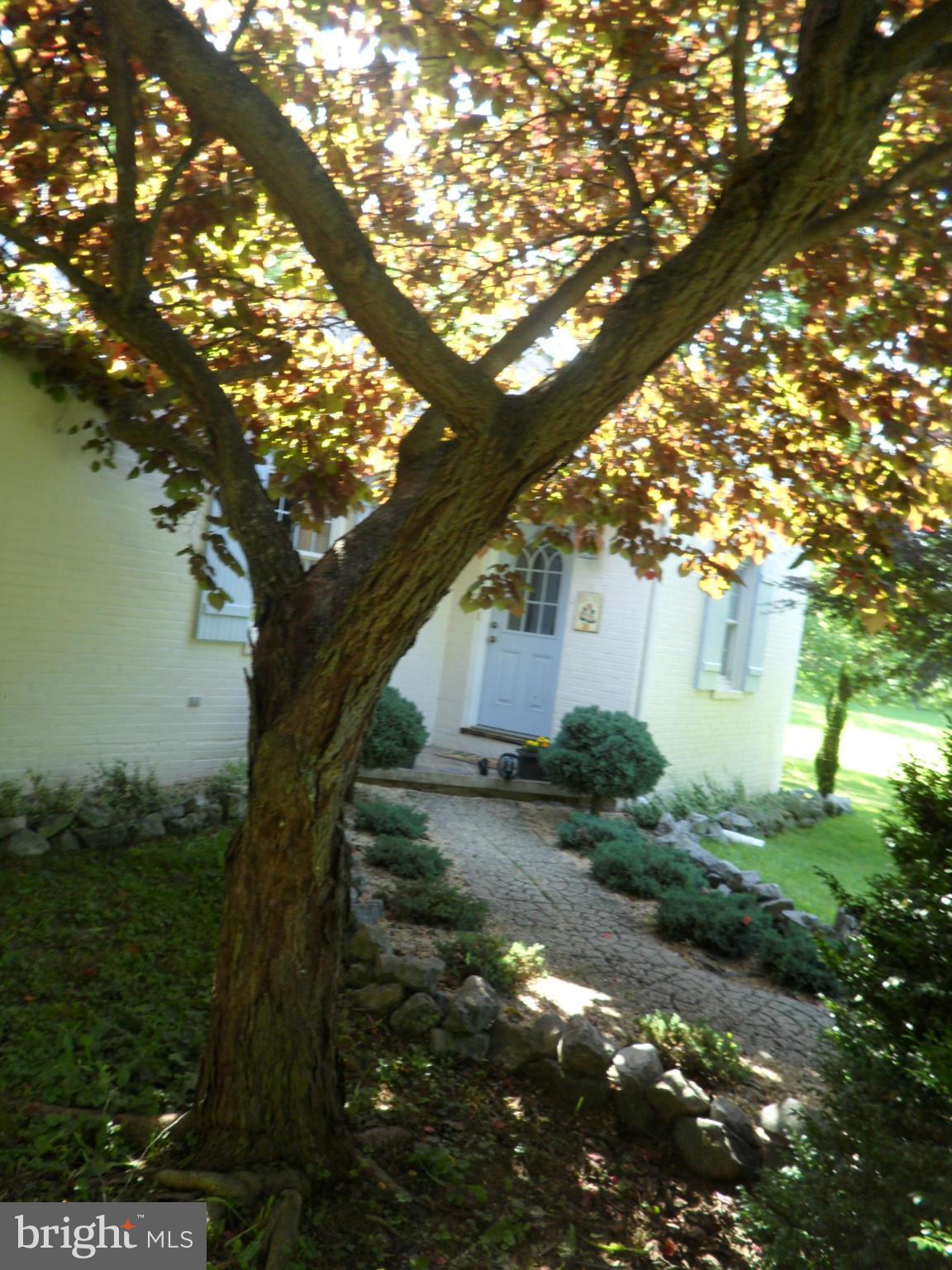 376 Pyletown Road Boyce, VA 22620 - Photo 3 of 30 Custom landscaped front entrance