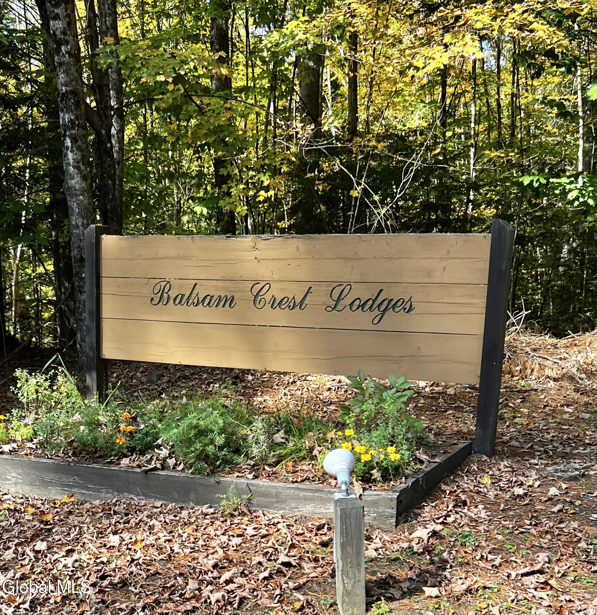 24 Balsam Crest Path, Unit B Warrensburg, NY 12817 - Photo 2 of 49 IMG_1832