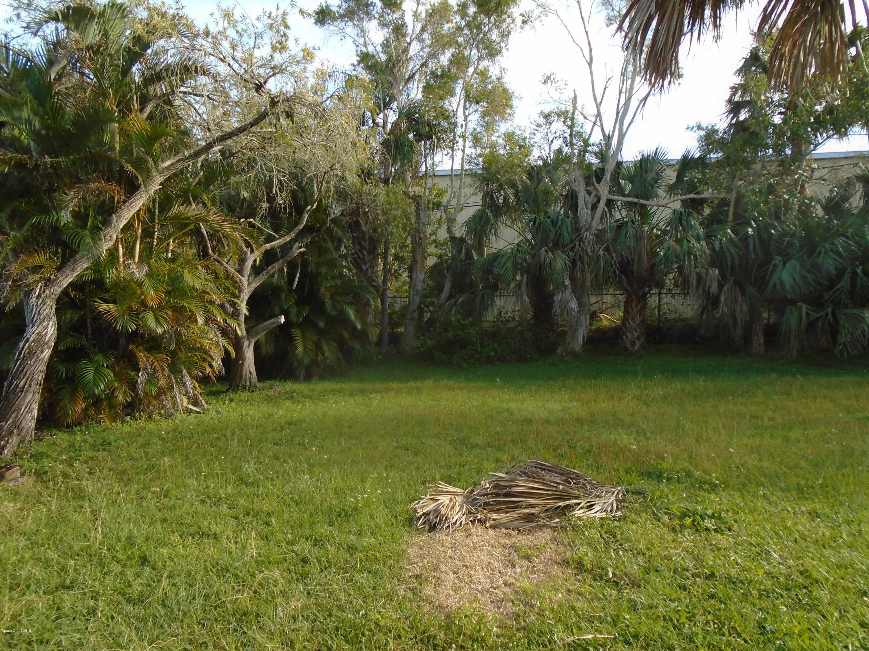 2362 Shenandoah Road Palm Bay, FL 32905 - Photo 9 of 9 DSC00415