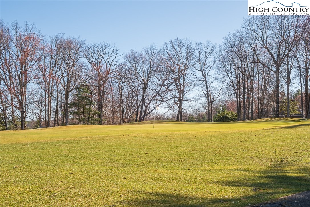 89 Rabbit Run Glade Valley, NC 28627 - Photo 3 of 32 a view of an ocean and trees