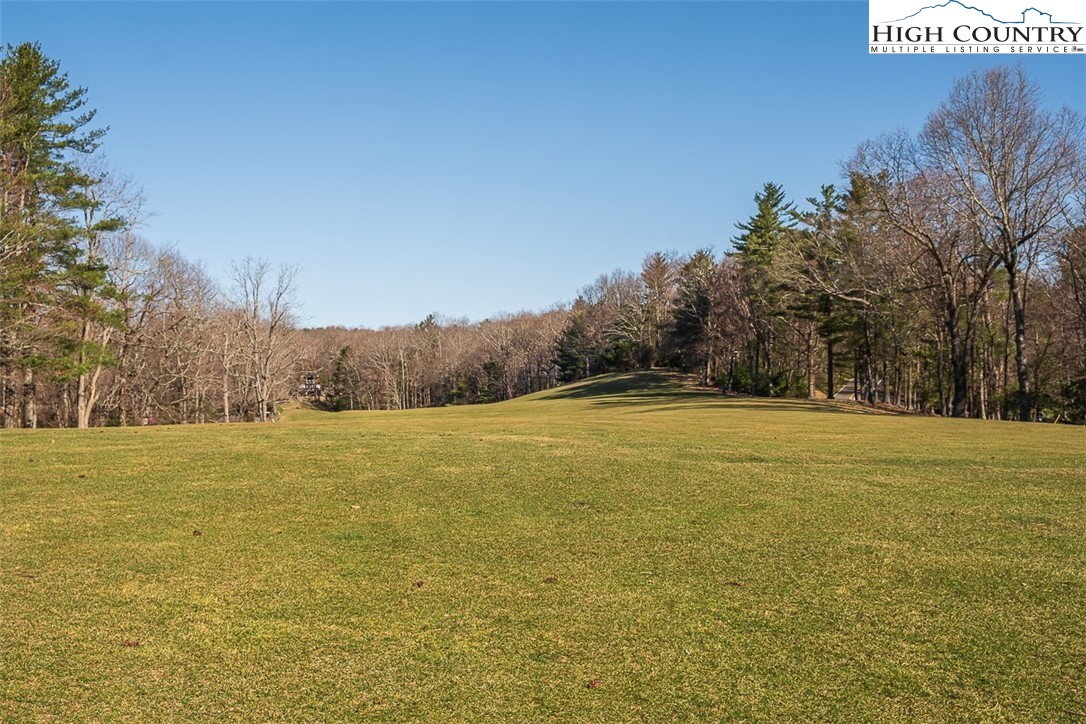89 Rabbit Run Glade Valley, NC 28627 - Photo 4 of 32 a view of an ocean and yard