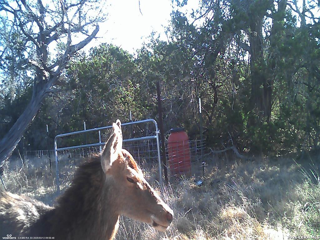 204 Wilson Rand Road Hunt, TX 78024 - Photo 28 of 46