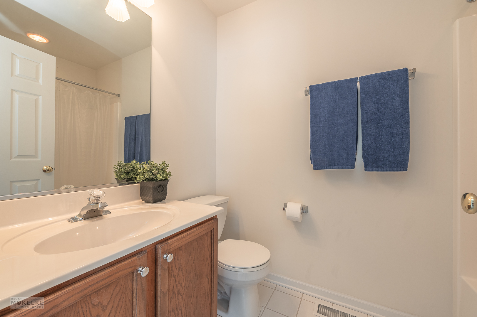 363 Ridge Road North Aurora, IL 60542 - Photo 21 of 26