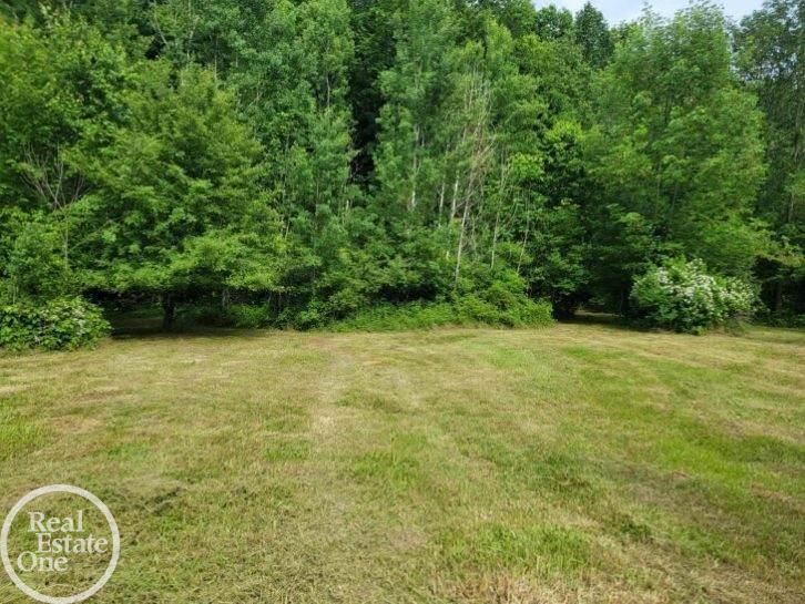 Vl Sheridan Road Emmett, MI 48022 - Photo 5 of 16