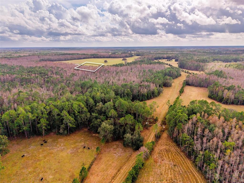Line Block Road Groveland, FL 34736 - Photo 20 of 20 a view of a pathway with a yard