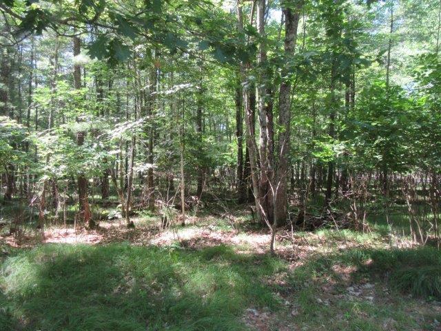 On Airport Road, Unit LOT 26 Woodruff, WI 54568 - Photo 5 of 9 Gallery Image 5