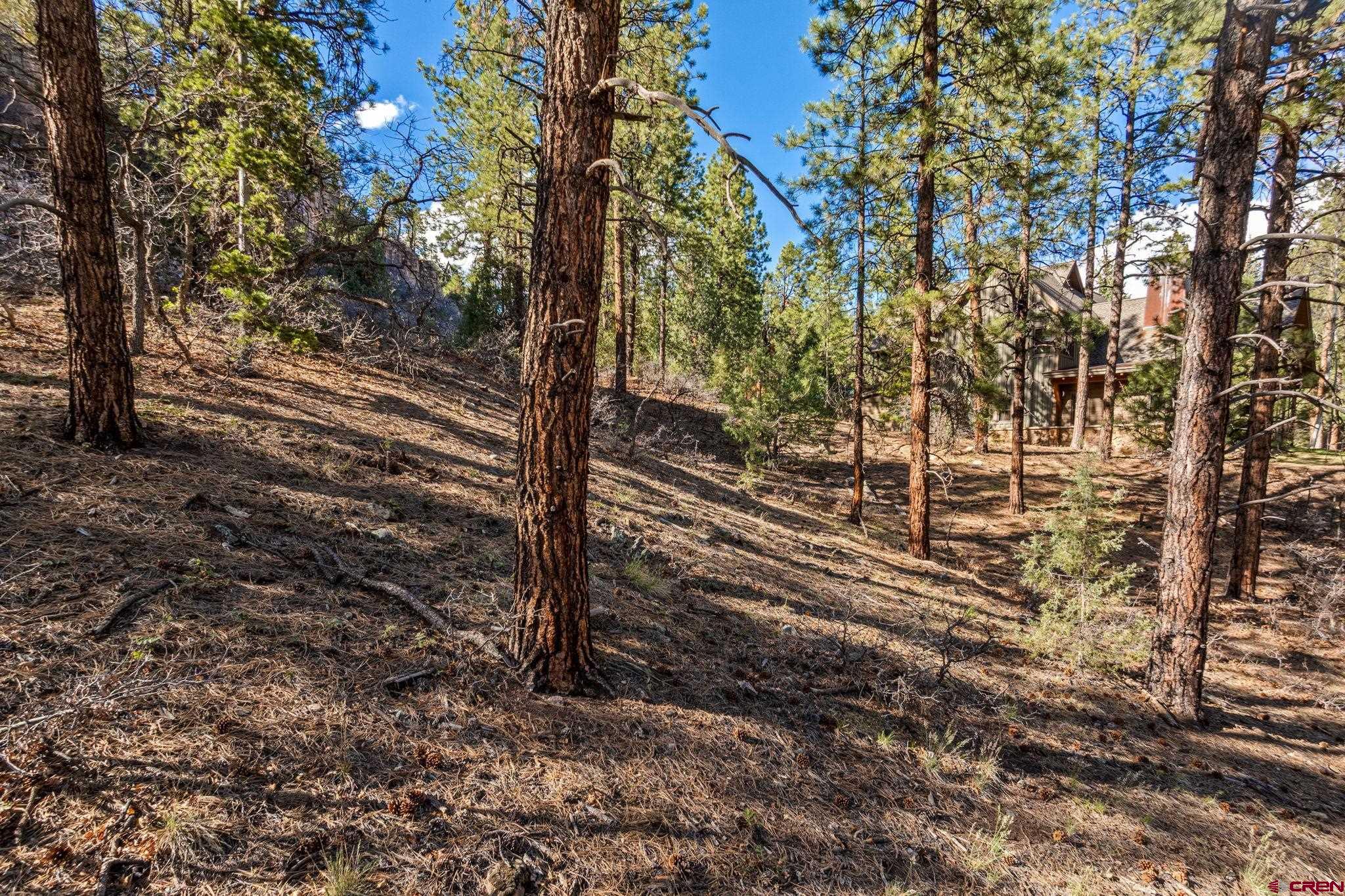 47 Ambush Canyon Durango, CO 81301 - Photo 14 of 18