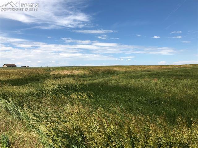 Alford Road Simla, CO 80835 - Photo 8 of 22