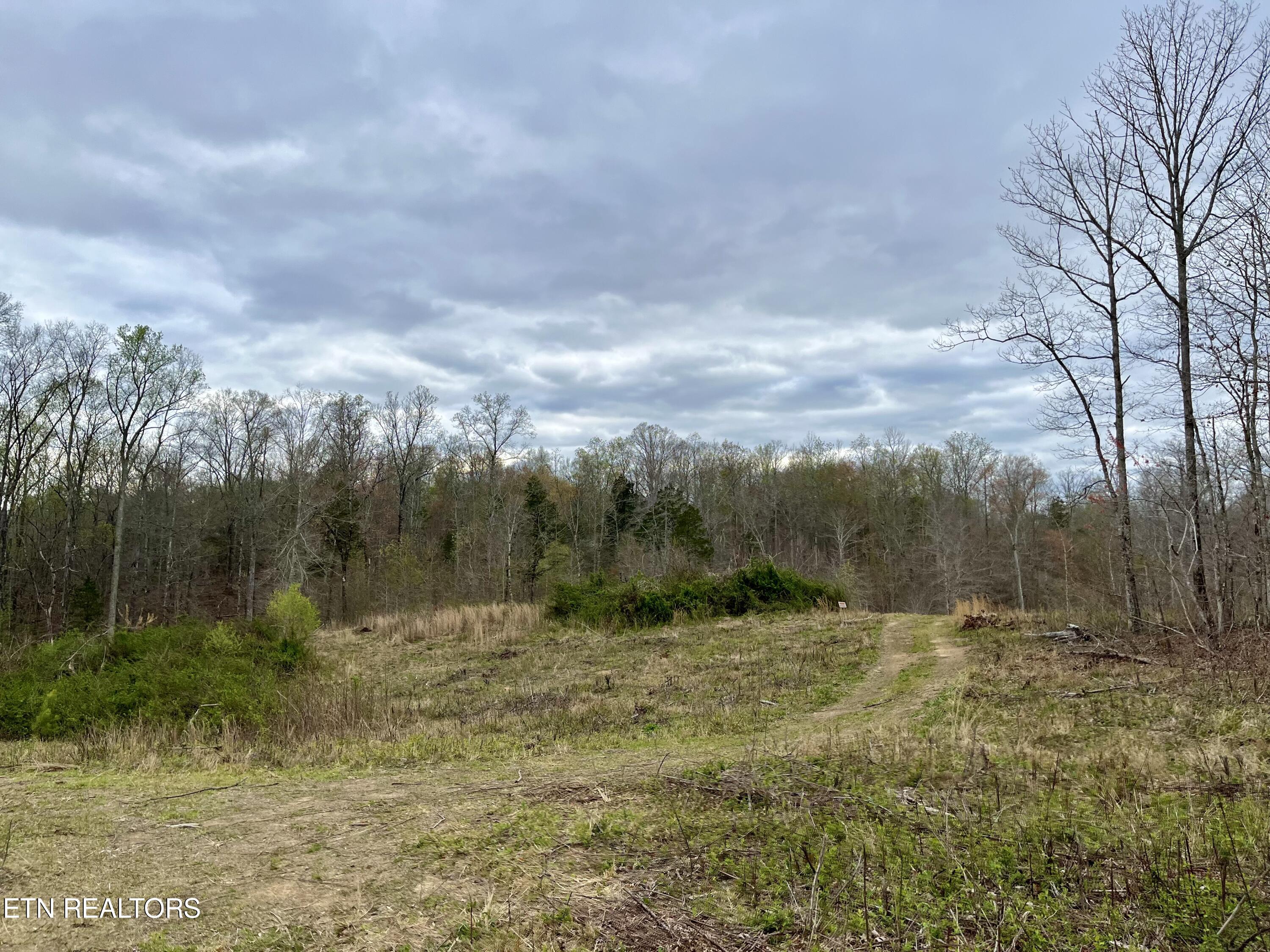 Lot 4 County Road 188 Decatur, TN 37322 - Photo 1 of 16 IMG_7819