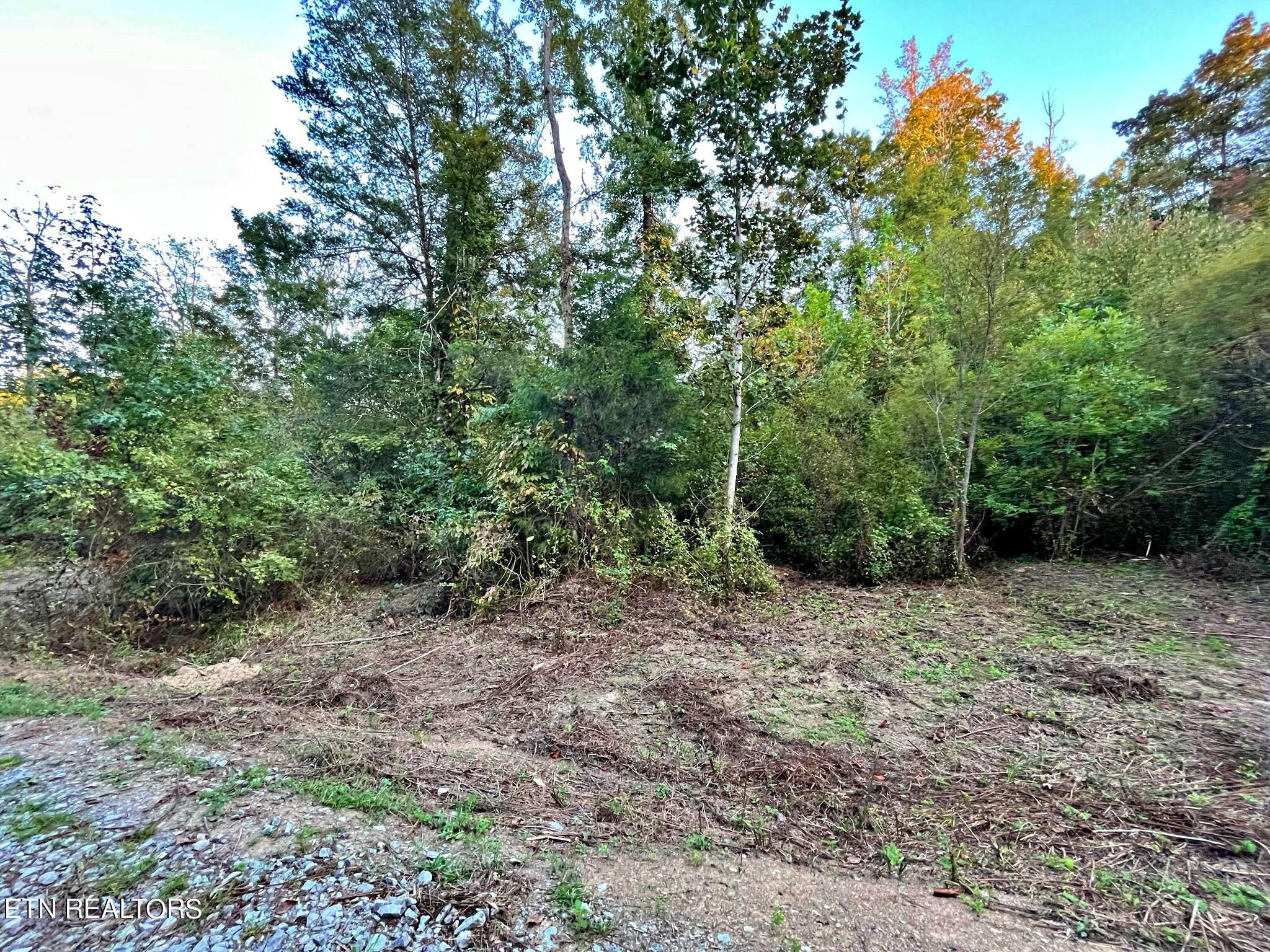 Lot 4 County Road 188 Decatur, TN 37322 - Photo 11 of 16 382243917_1427005211584551_8829995484387