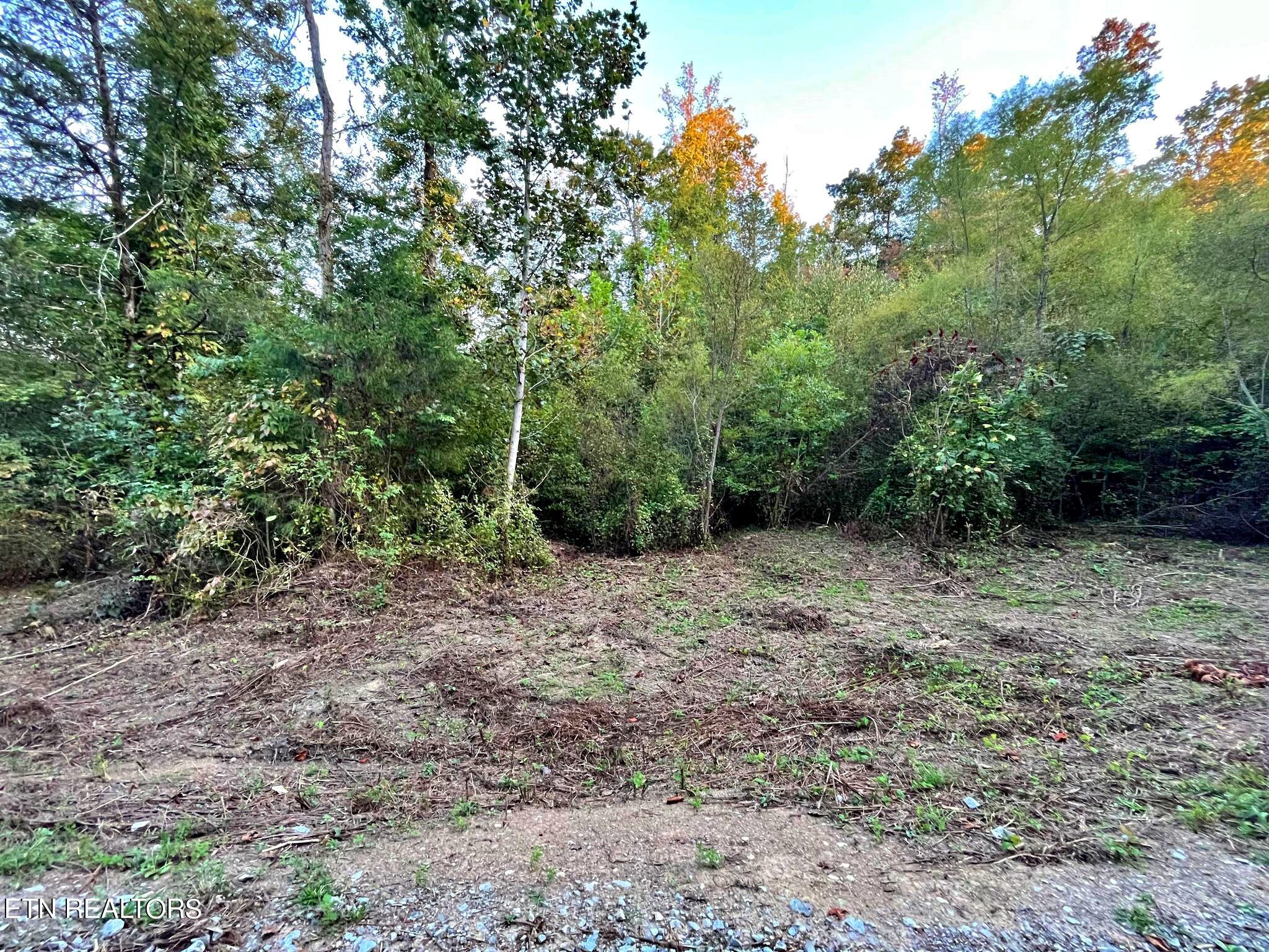 Lot 4 County Road 188 Decatur, TN 37322 - Photo 15 of 16 384506204_2499688836871756_2006044632250