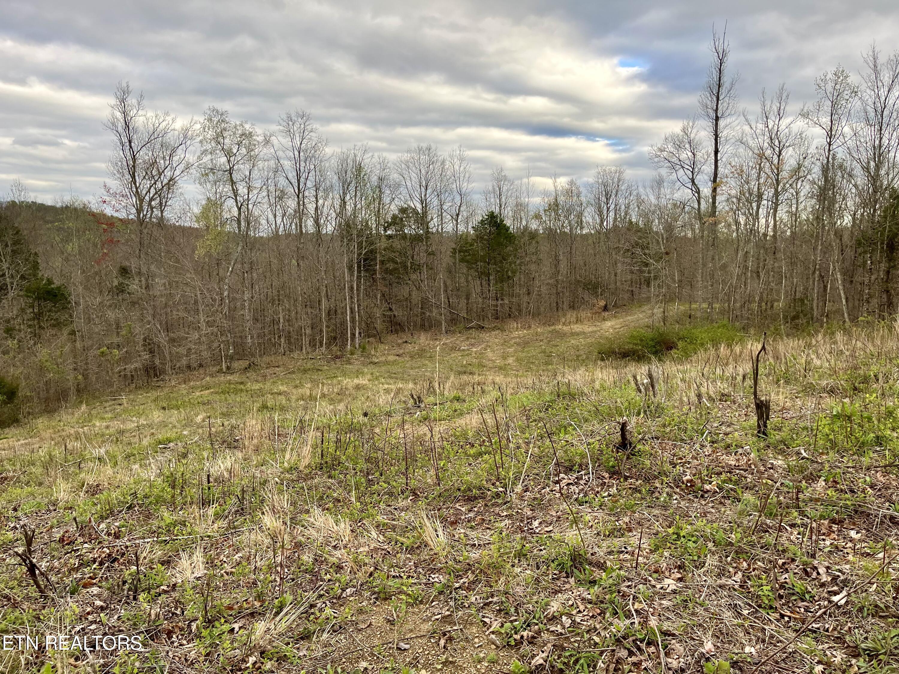 Lot 4 County Road 188 Decatur, TN 37322 - Photo 3 of 16 IMG_7818