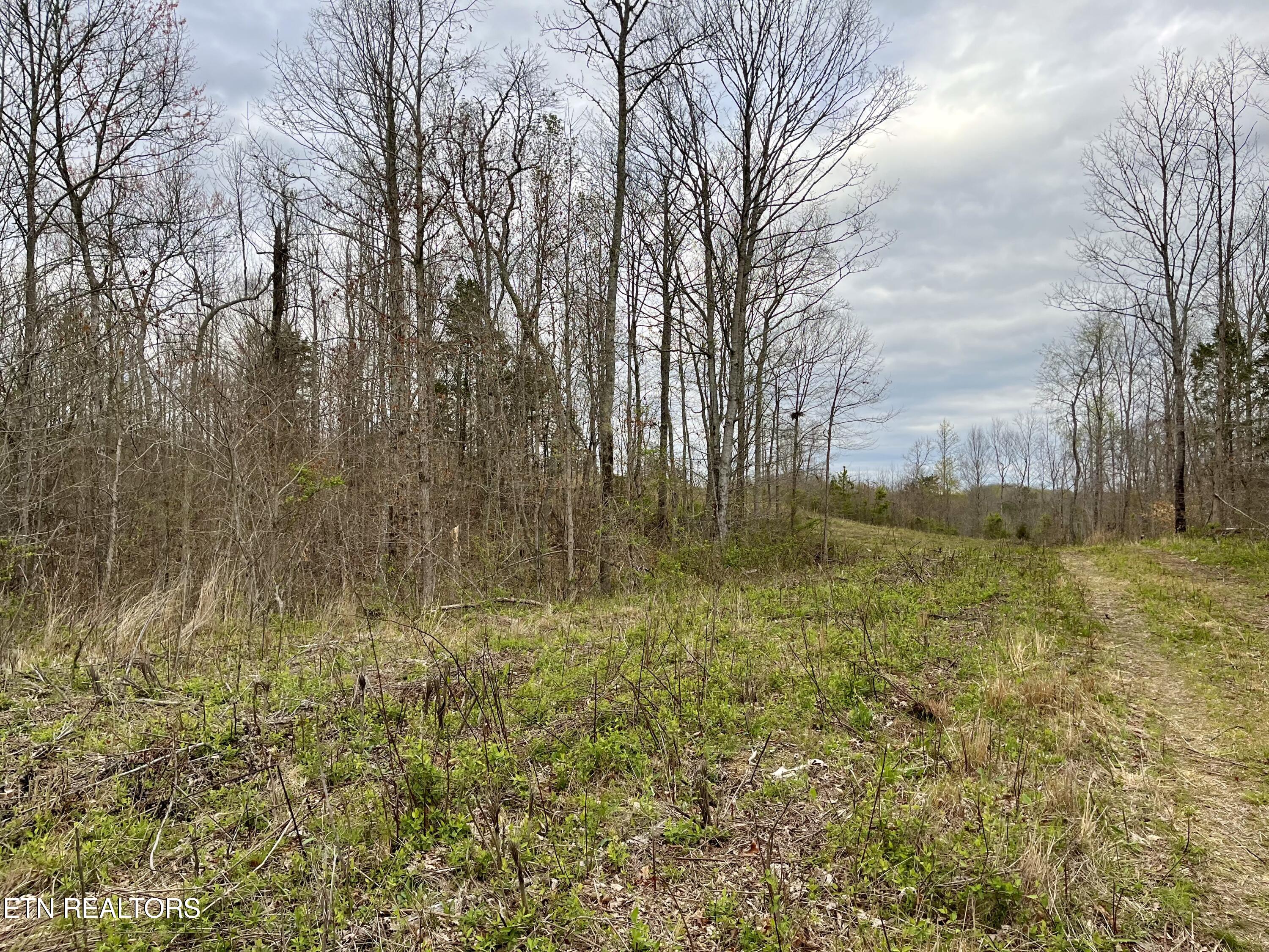 Lot 4 County Road 188 Decatur, TN 37322 - Photo 5 of 16 IMG_7821