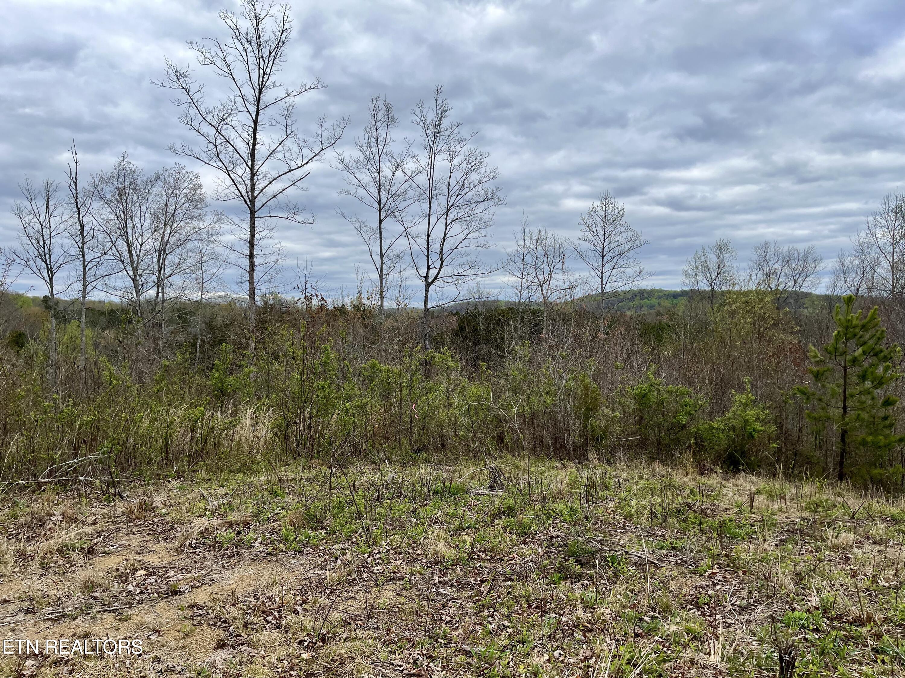 Lot 4 County Road 188 Decatur, TN 37322 - Photo 6 of 16 IMG_7817