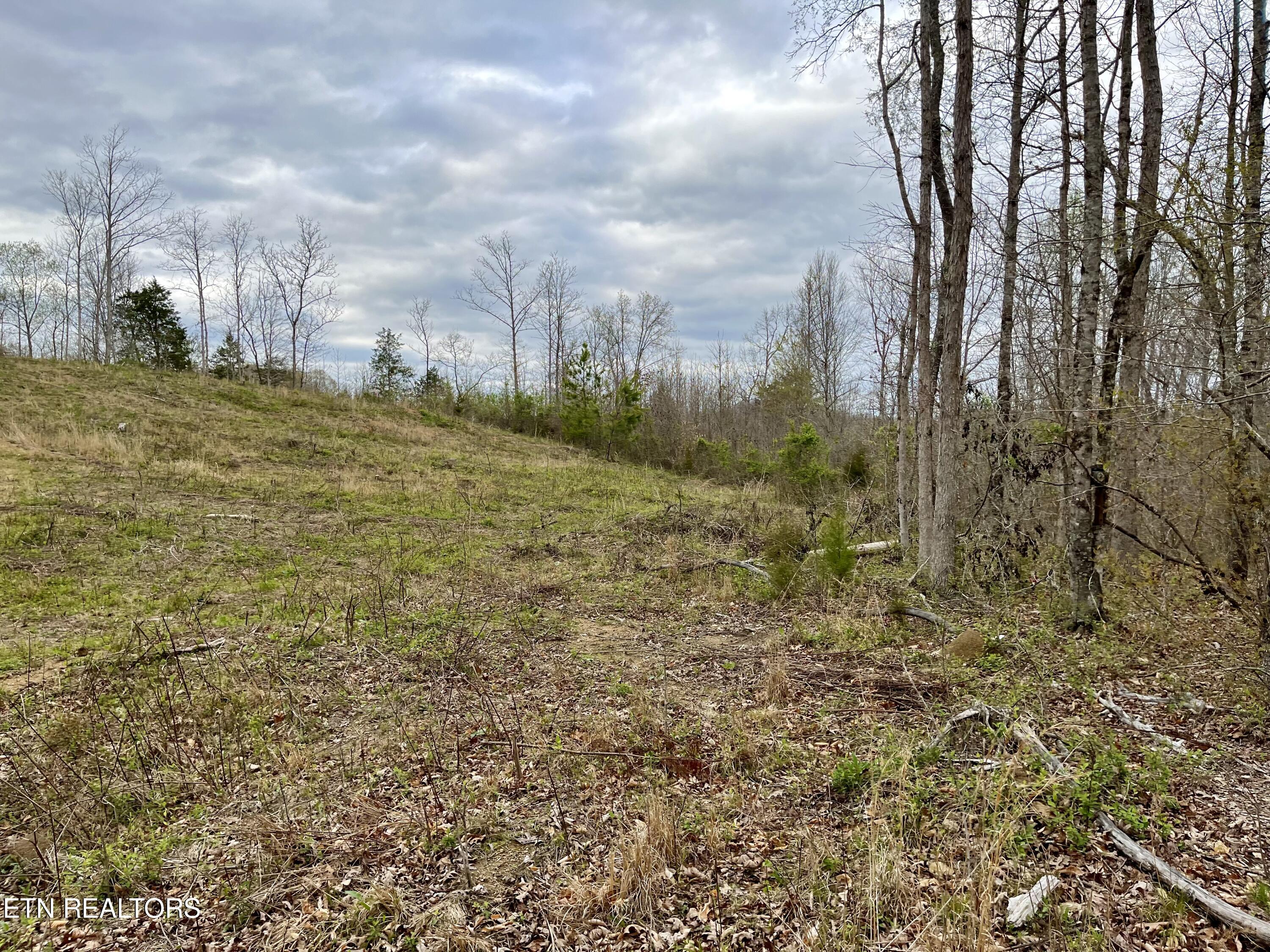 Lot 4 County Road 188 Decatur, TN 37322 - Photo 7 of 16 IMG_7813