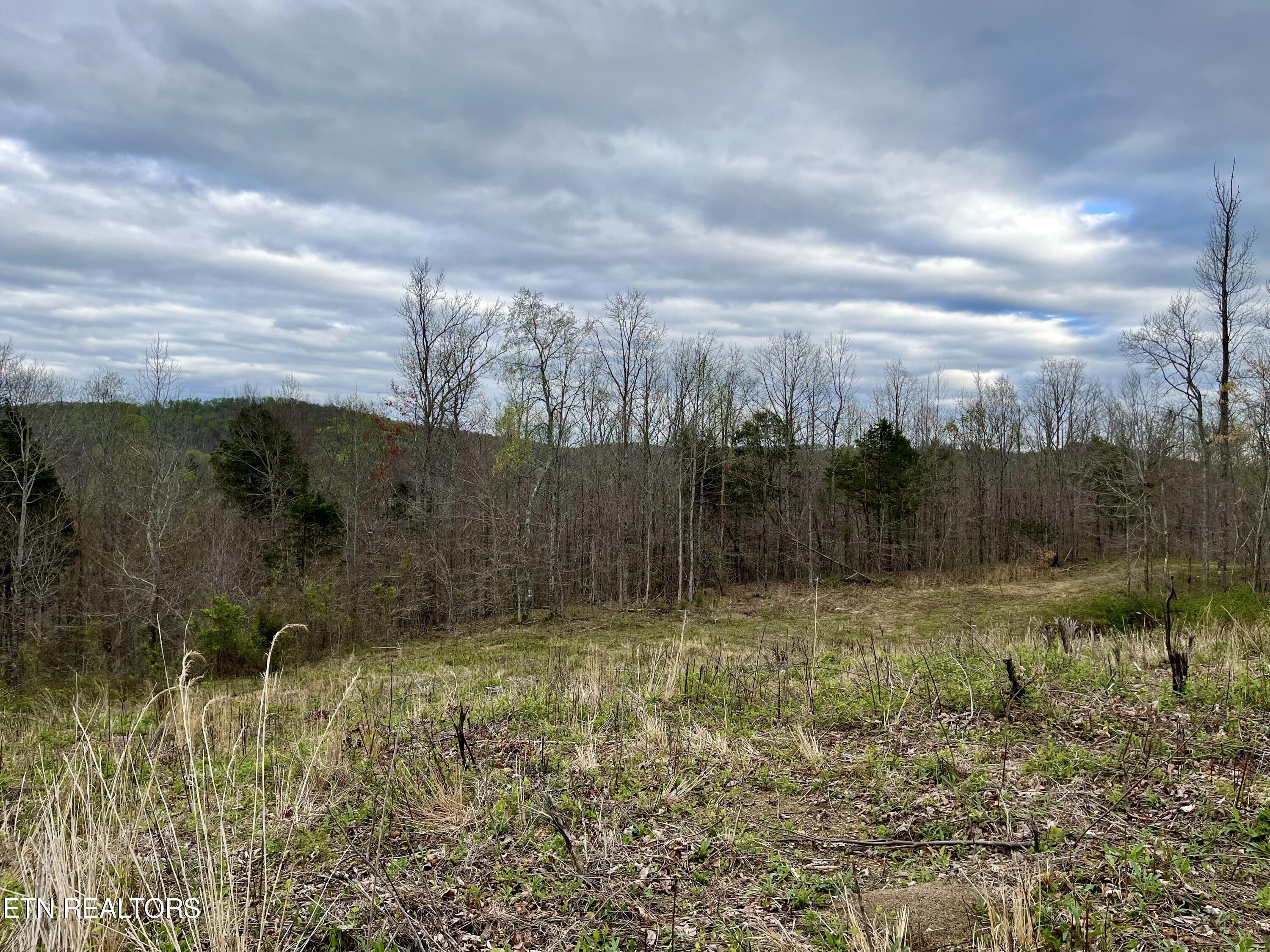 Lot 4 County Road 188 Decatur, TN 37322 - Photo 8 of 16 IMG_7816