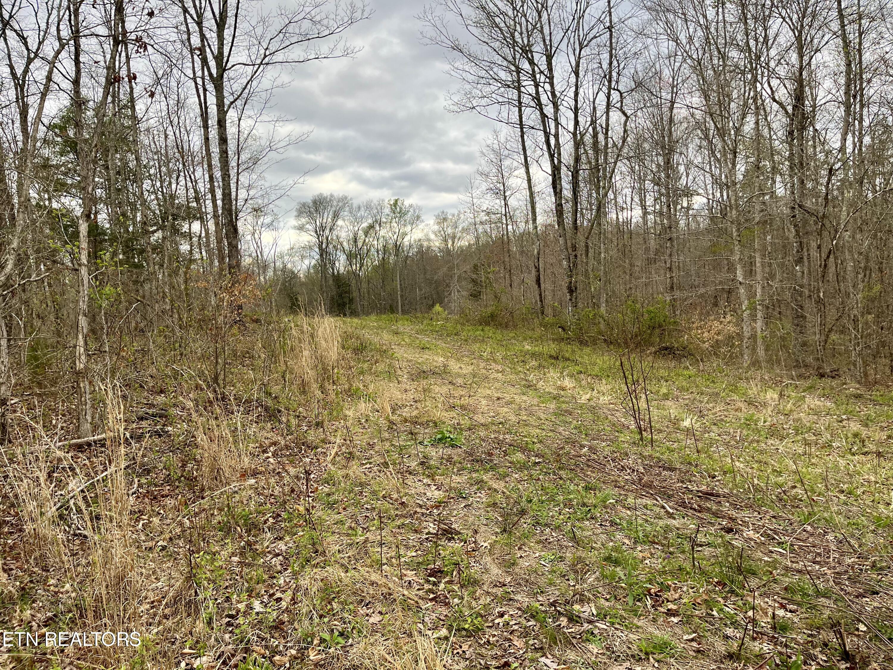 Lot 4 County Road 188 Decatur, TN 37322 - Photo 9 of 16 IMG_7814