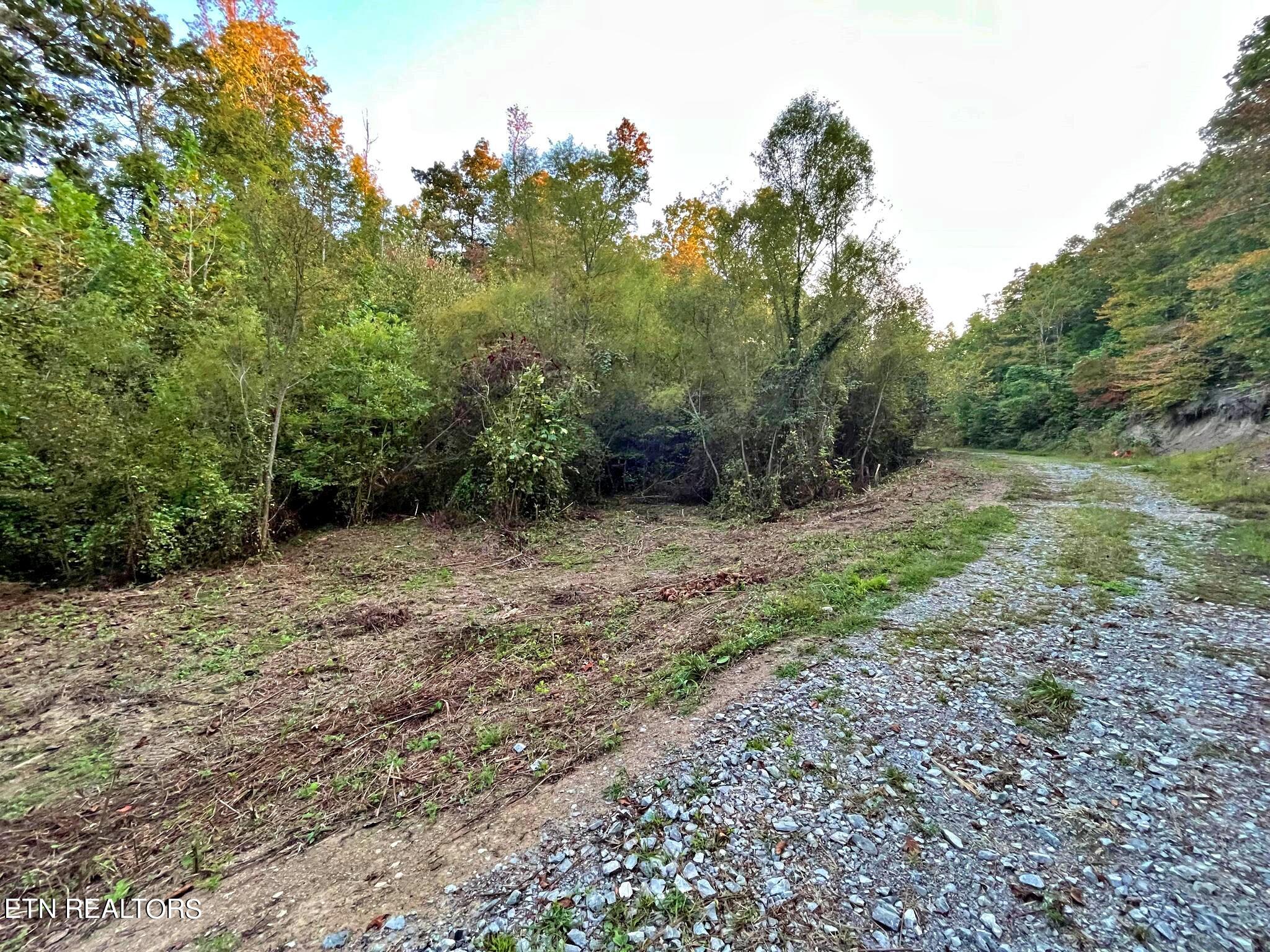Lot 4 County Road 188 Decatur, TN 37322 - Photo 10 of 16 379951999_265283553157599_83337981723548