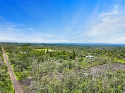 a view of a city with lush green forest