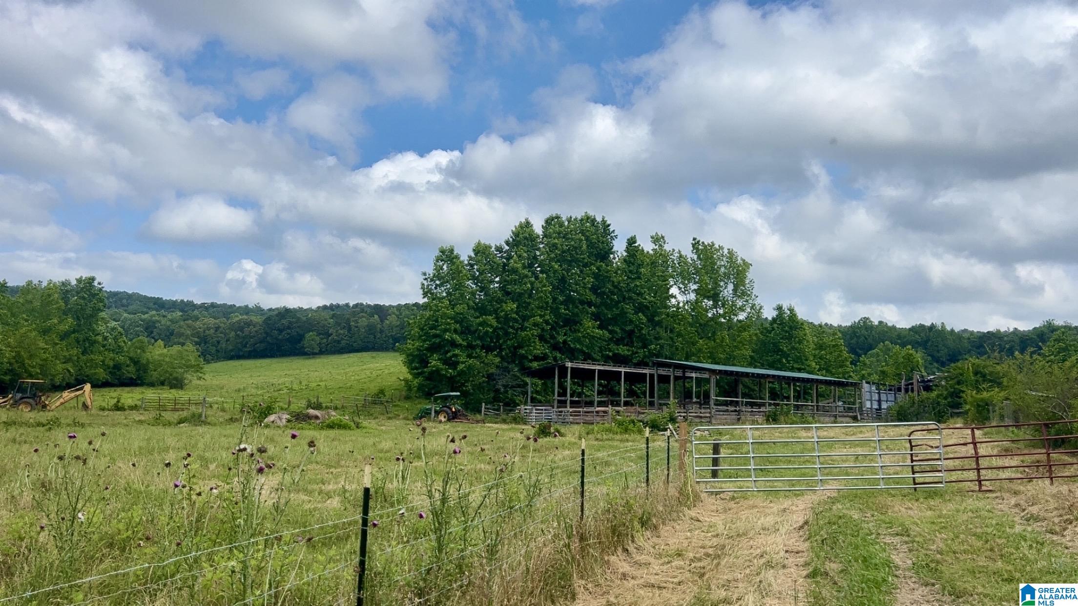 988 Mines Road, Unit 100 Ashland, AL 36251 - Photo 15 of 17