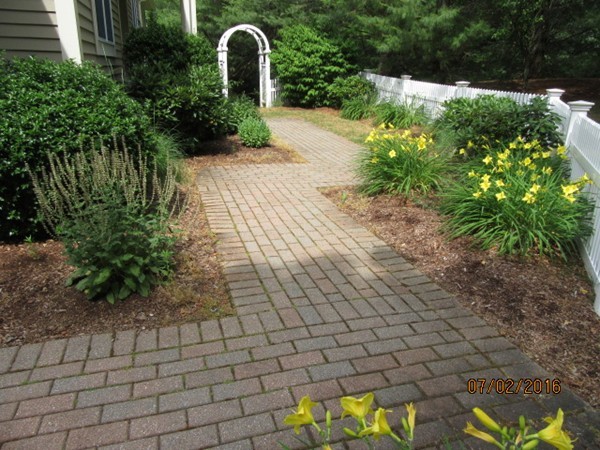 153 Nobscot Road, Unit 153 Sudbury, MA 01776 - Photo 17 of 18 a backyard of a house with lots of green space