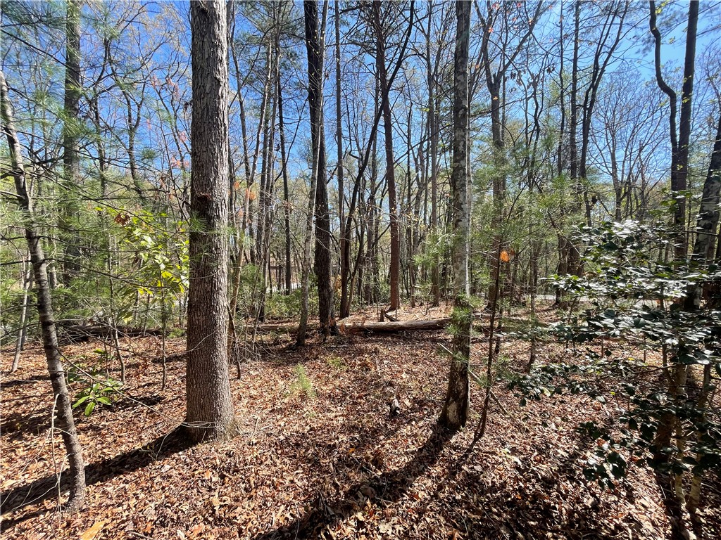 0 Mountain Rest Lake Road Mountain Rest, SC 29664 - Photo 11 of 18