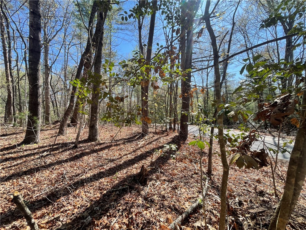 0 Mountain Rest Lake Road Mountain Rest, SC 29664 - Photo 16 of 18