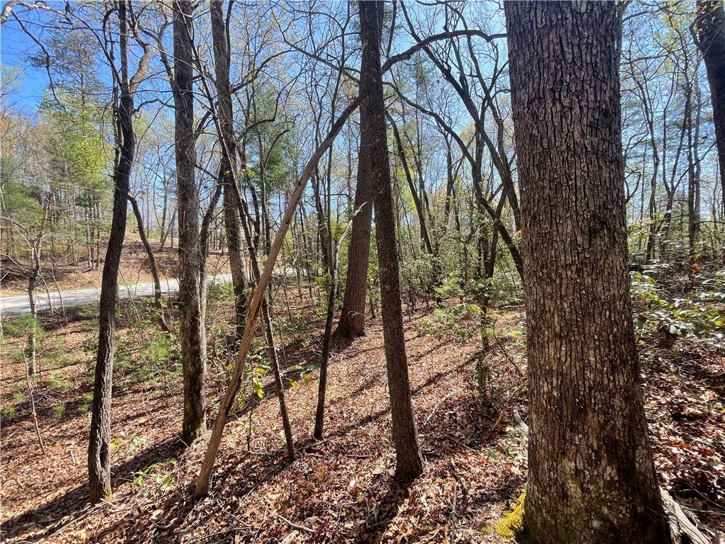 0 Mountain Rest Lake Road Mountain Rest, SC 29664 - Photo 17 of 18